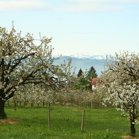 Villa Linke Am Bodensee Nonnenhorn Ngoại thất bức ảnh