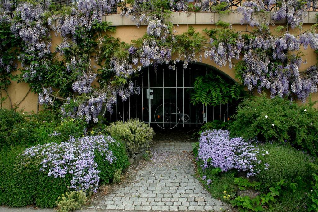 Villa Linke Am Bodensee Nonnenhorn Ngoại thất bức ảnh