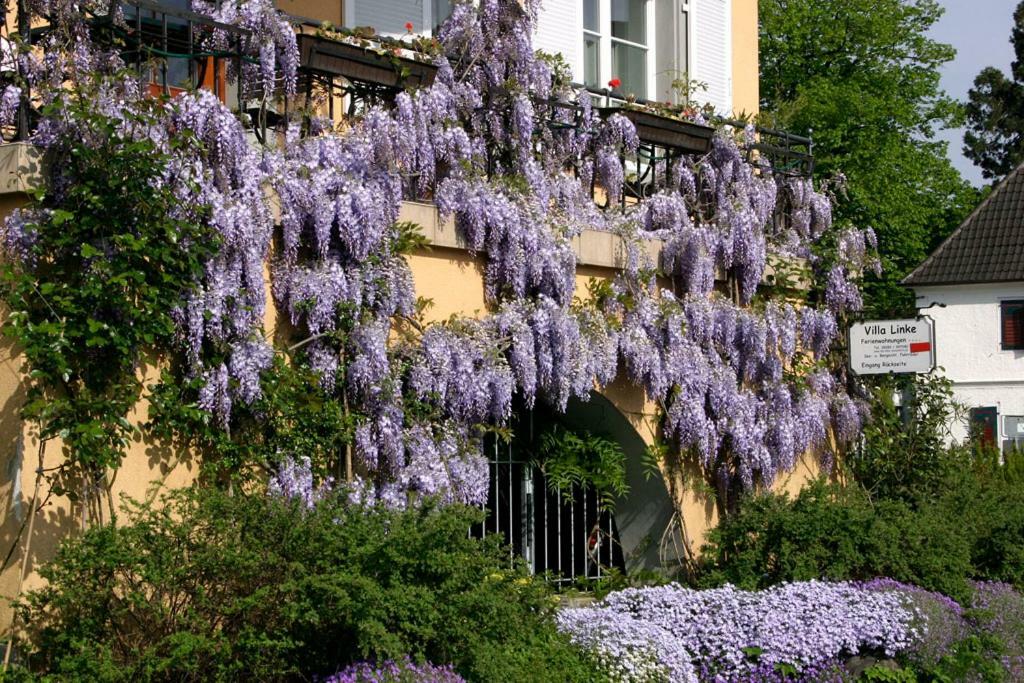 Villa Linke Am Bodensee Nonnenhorn Ngoại thất bức ảnh