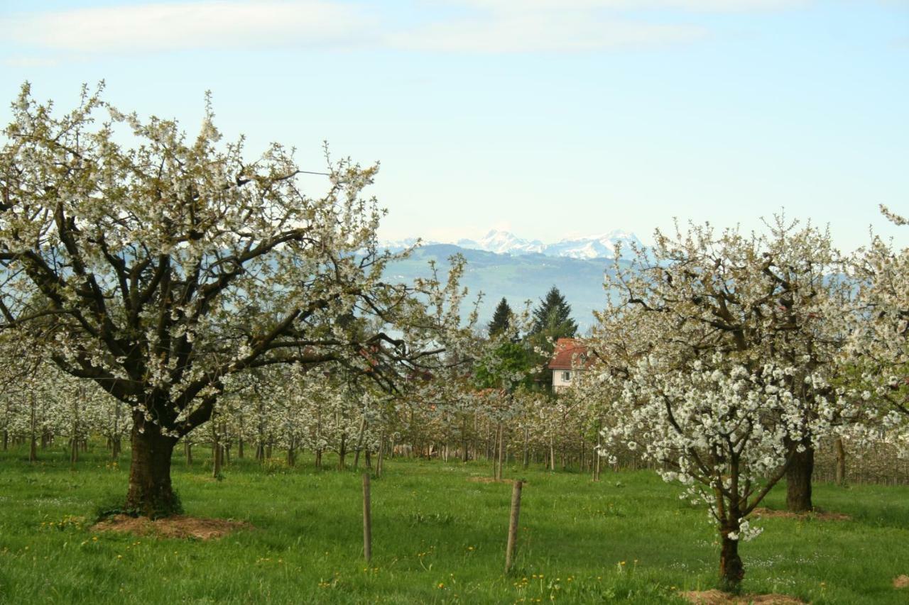 Villa Linke Am Bodensee Nonnenhorn Ngoại thất bức ảnh
